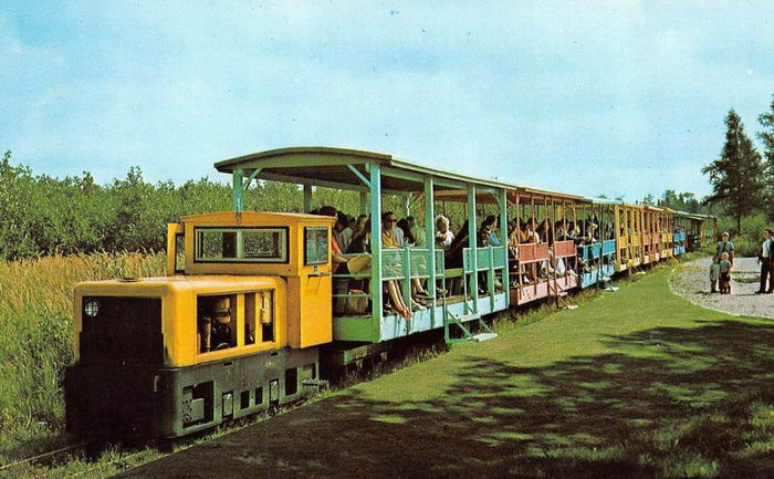 Toonerville Trolley - Old Postcard Photo (newer photo)
